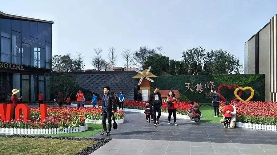 1565574999103887.jpg 深裝-W.jpg