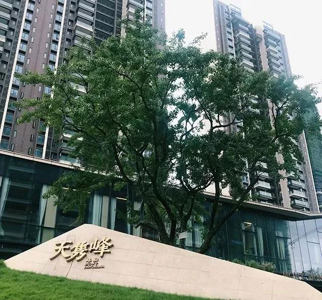 1565575025630845.jpg 深裝1-W.jpg